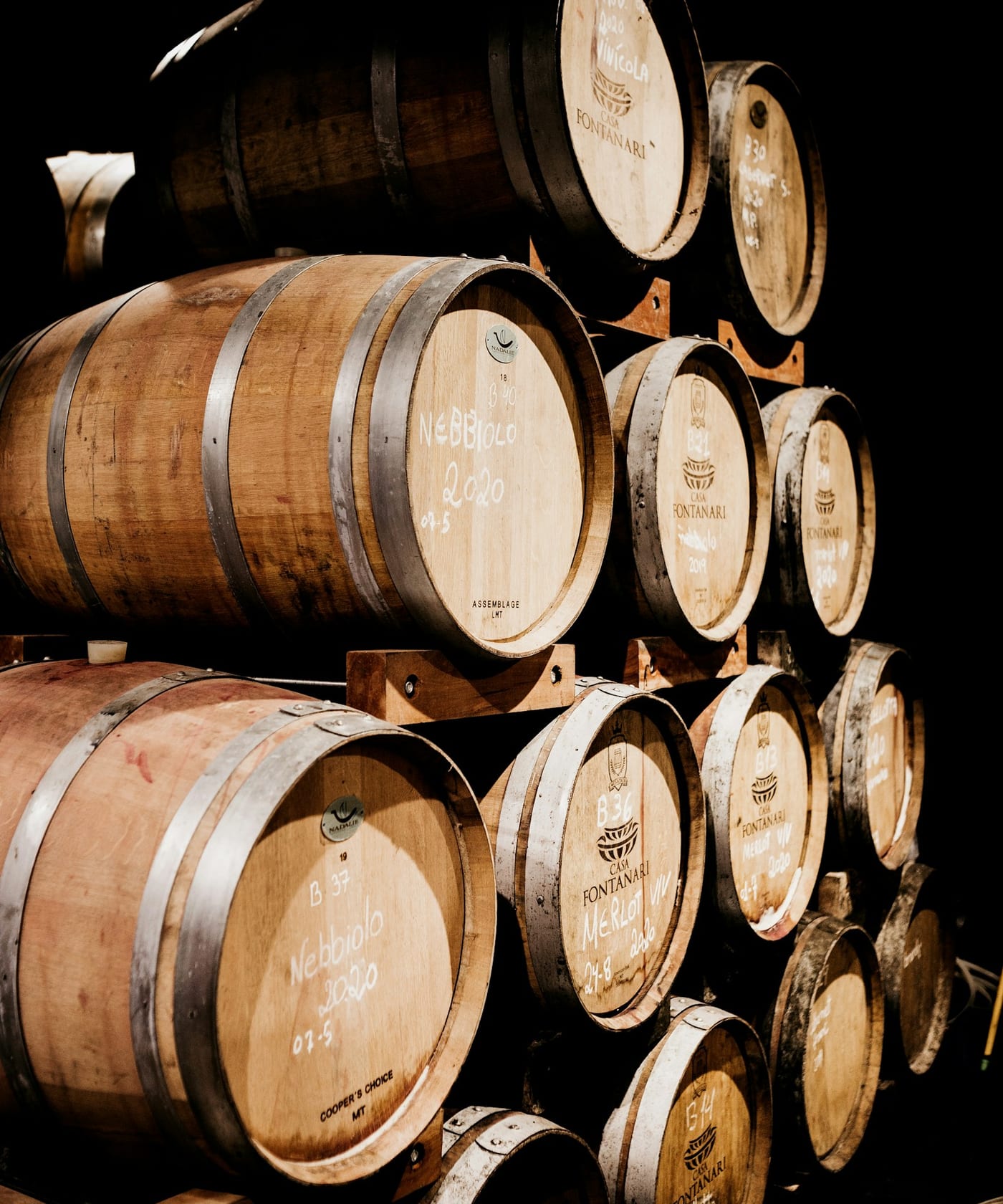 Oak wine barrels stacked in a cellar, labeled with varietals like Nebbiolo and Merlot